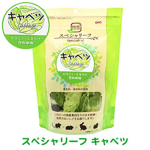 PRO スペシャリーフ キャベツ 国産/おやつ フード うさぎ モルモット チンチラ デグー NPF