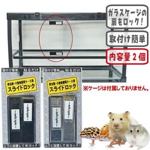 GEX ハムスター用 水槽 60cm GEX60cm水槽ケージをキンクマハムスター用に使った感想と評価