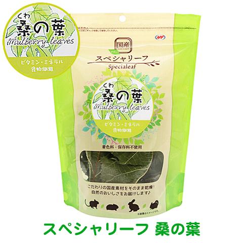 PRO スペシャリーフ 桑の葉 国産/おやつ フード うさぎ モルモット チンチラ デグー NPF