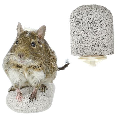 爪とぎステップ ショート/足場 ステージ 軽石 デグー インコ SANKO 三晃商会