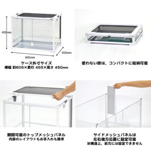 パンテオン カノン ホワイト WH6045【一...の詳細画像2