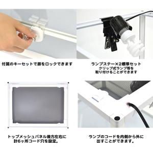 パンテオン カノン ホワイト WH6045【一...の詳細画像3