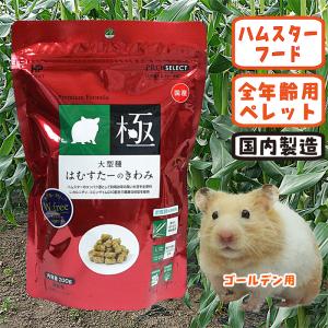 極（PRO SELECT） ちんちらのきわみ/極 フード エサ ペレット グルテン