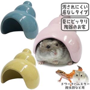 レインボー ハムスター ハウス RB ジャンガリアンのカラフルドーム