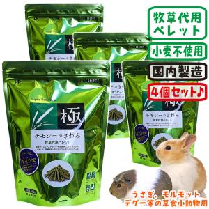 マルカン うさぎのウォーターボトル300/給水器 吸水器 モルモット
