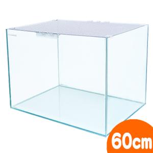 チャーム（charm） 初めてのハリネズミ飼育セット : チャーム charm