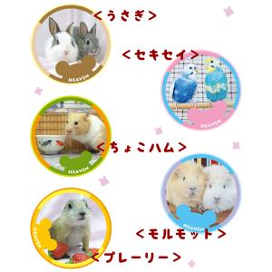 【チャリティー】HEAVEN 小動物&小鳥缶バ...の詳細画像4