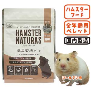 イースター ハムスターセレクション 400g : ペッツマム - 通販 - Yahoo