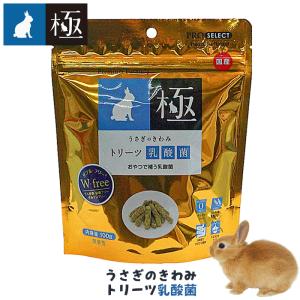 うさぎのきわみ トリーツ乳酸菌/極 おやつ グルテンフリー 国産 ウサギ チンチラ モルモット デグー ハイペット