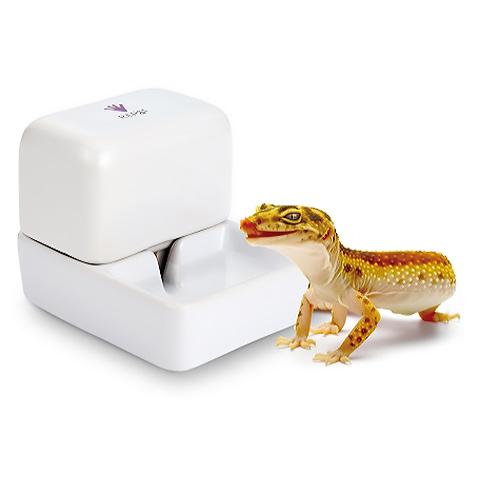 ジオタンク/給水器 水入れ 陶器 ヒョウモン 爬虫類 マルカン MARUKAN