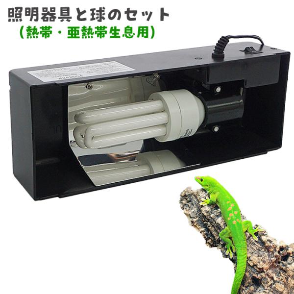 「コンパクトトップ30N（1灯式）」と「レプタイルコンパクトプロ 熱帯・亜熱帯生息爬虫類用 23W」...