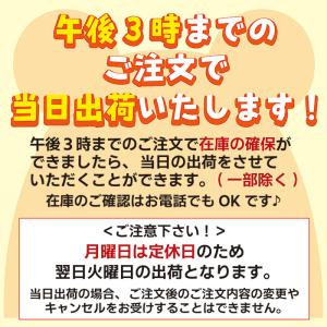 うちの子分身?キーホルダー ハムスター/毛収納...の詳細画像4