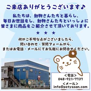 うちの子分身?キーホルダー ハムスター/毛収納...の詳細画像5