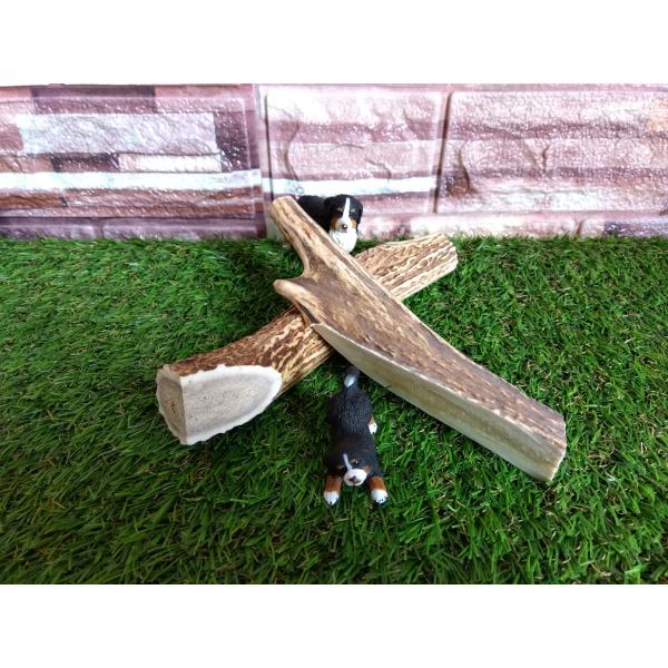 鹿角（２個セット２）