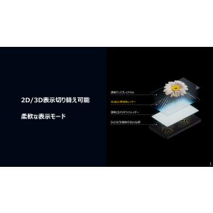 ZTE Corporation LPD-20W...の詳細画像3