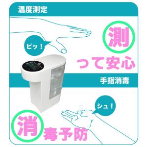 【在庫限り】【1000円ぽっきり】【送料無料※...の詳細画像2