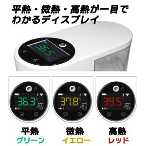 【在庫限り】【1000円ぽっきり】【送料無料※...の詳細画像4