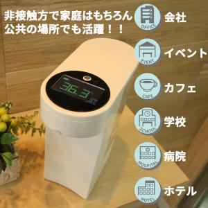 【在庫限り】【1000円ぽっきり】【送料無料※...の詳細画像5