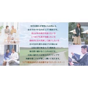 コブラ粉末67g入の詳細画像3