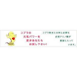 コブラ粉末67g入の詳細画像4