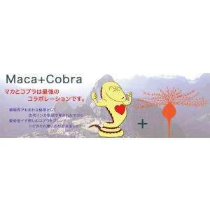 マカ・コブラ粉末100g入の詳細画像2