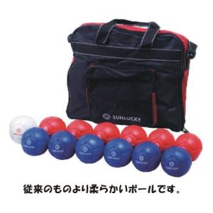 ボッチャ ボール セット 直径86mm 重量275g 公式規格 ミディアム