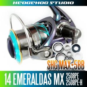 16セルテート 1000-3000番用 MAX14BBフルベアリングチューニングキット