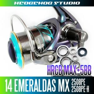 ダイワ】21ルビアス エアリティ FCLT1000S-P〜LT4000-CXH用 MAX12BB