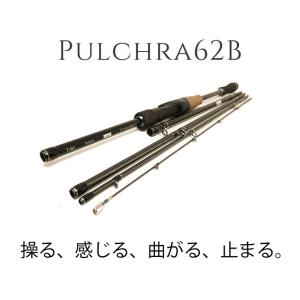 【TRANSCENDENCE/トランスセンデンス】 Pulchra62B+ / プルクラ62B+