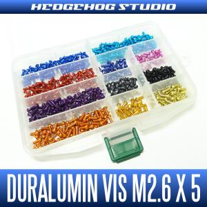 ジュラルミンビス単品　【M2.6×5mm(木ネジ)】