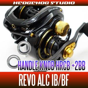 Rodio Craft 【並品】99ツーナインプラス60UL 井野モデル 継数2