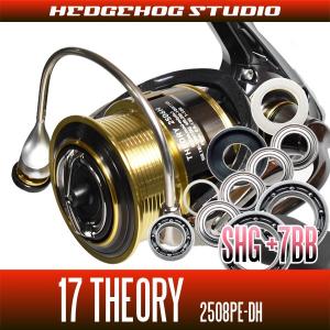 17セオリー 2508PE-DH用 MAX14BB フルベアリングチューニングキット 【SHGプレミアムベアリング】｜hedgehog-studio