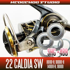 DAIWA CALDIA SW ブラック/ゴールド カルディアSW8000−H