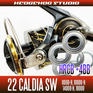 DAIWA（釣り） ダイワ 22 CALDIA SW 14000-H (オフショア