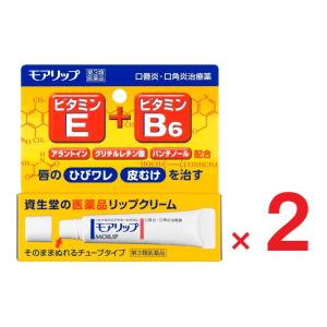 モアリップN 8g ×２　第3類医薬品  資生堂｜ヘイセイドラッグ ヤフー店