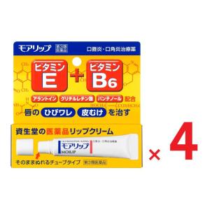 モアリップN 8g ×４　第3類医薬品  資生堂｜ヘイセイドラッグ ヤフー店