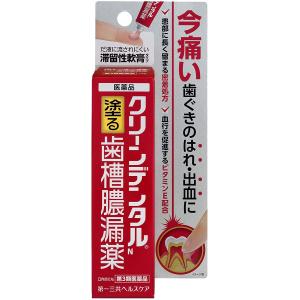 クリーンデンタルN 歯槽膿漏薬 16g  第3類医薬品｜heiseidrug