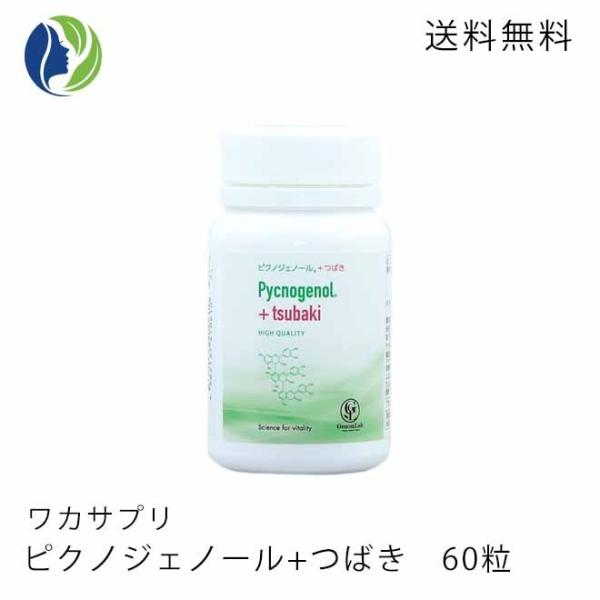 サプリメント ワカサプリ ピクノジェノール＋つばき 60粒 約1ヶ月分　健康 美容