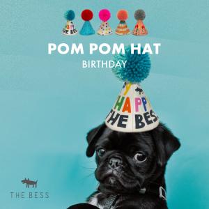 ペット パーティー 帽子 / THE BESS　POM POM HAT バースデー 全5種 / 犬 猫 わんちゃん ねこちゃん 帽子 誕生日 パーティー｜heliosholding