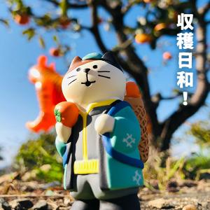 爆買 |猫 柿農家 |限定 デコレ コンコンブ...の詳細画像1