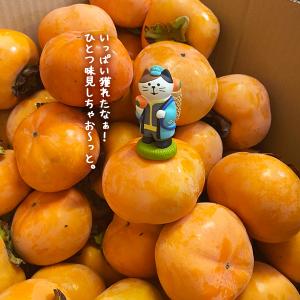 爆買 |猫 柿農家 |限定 デコレ コンコンブ...の詳細画像3