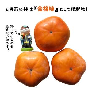 爆買 |猫 柿農家 |限定 デコレ コンコンブ...の詳細画像4