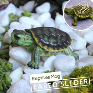 クリップホルダー （レプティルスマグ） ミドリガメ RED EARED SLIDER
