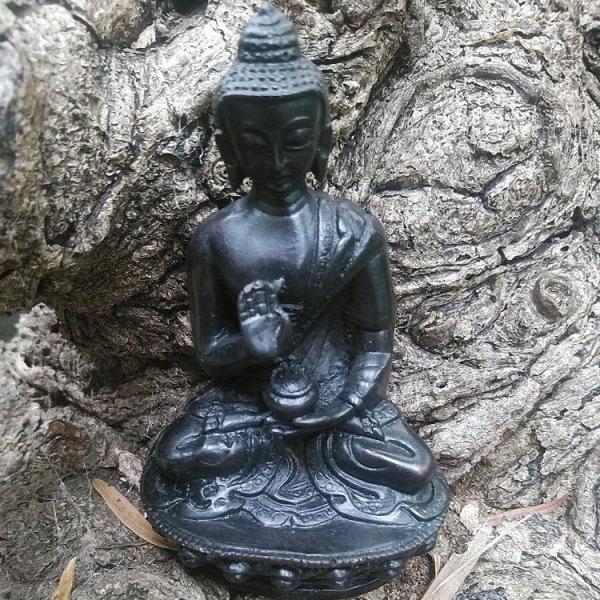 ネパール 不空成就如来 置物 インテリア アジアン 雑貨 オブジェ 仏像/rfo338