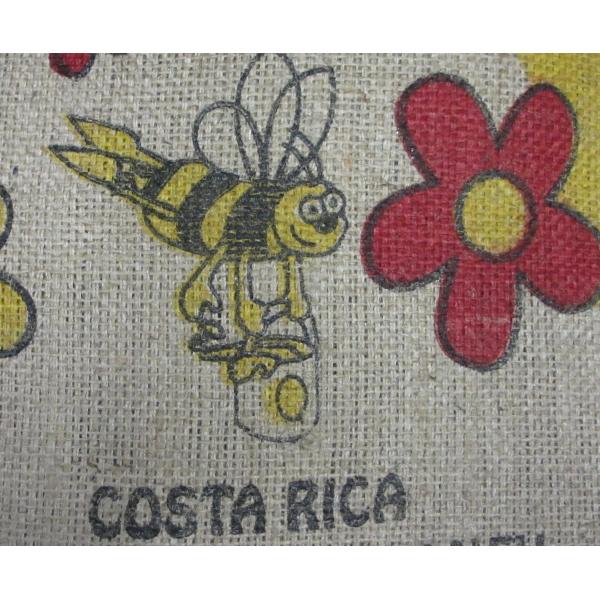 ハローコーヒー　コーヒー生豆　コスタリカ　フローラルハニー　２ｋｇ