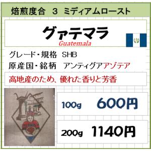 ハローコーヒー　浅煎り　コーヒー豆　グァテマラ　アンティグアアゾテア農園　１００ｇより　送料込み無料