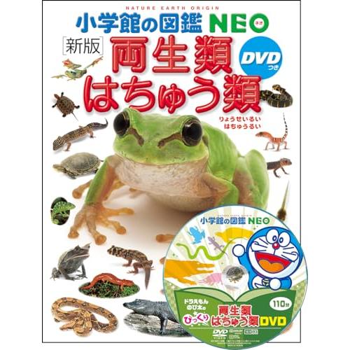 DVD付 新版 両生類・はちゅう類 (小学館の図鑑 NEO)