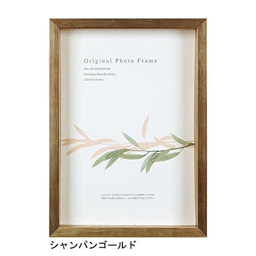 A.P.J. アートボックスフレーム（高さ：35ｍｍ） 八ツ切サイズ（242×303mm）シャンパン...
