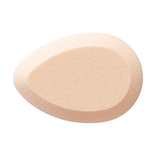Shiseido 資生堂スポンジパフ アーティストタッチ(乳化タイプ用) 119 1個入り