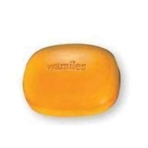 ワミレス(wamiles) ベーシックライン イオーヌソープ 100g ディッシュなし